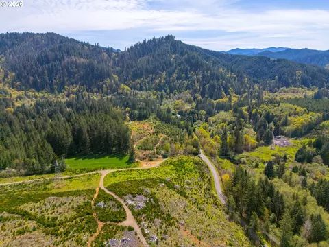 nelson mountain rd, Walton, OR 97490 photo 23