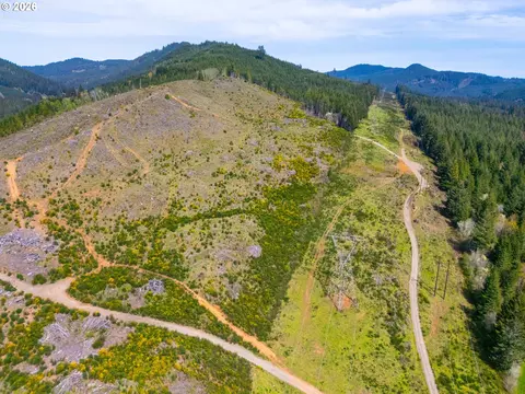 nelson mountain rd, Walton, OR 97490 photo 13