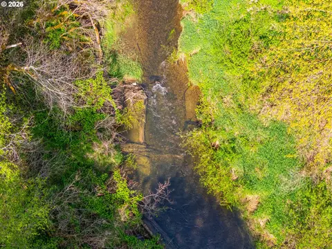 nelson mountain rd, Walton, OR 97490 photo 3