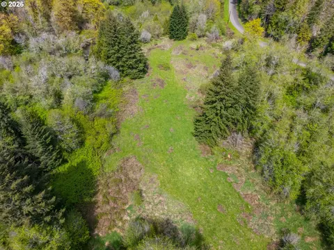 nelson mountain rd, Walton, OR 97490 photo 2