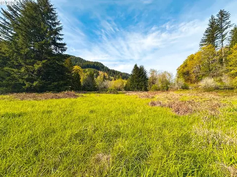 nelson mountain rd, Walton, OR 97490 photo 43