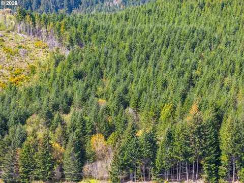 nelson mountain rd, Walton, OR 97490 photo 16