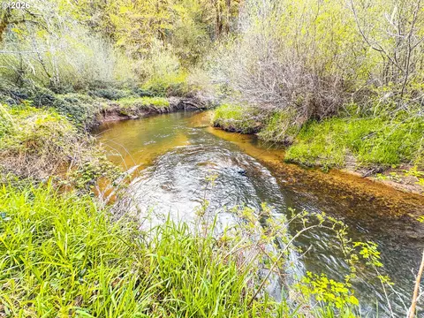 nelson mountain rd, Walton, OR 97490 photo 41