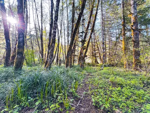 nelson mountain rd, Walton, OR 97490 photo 39