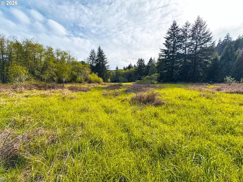 nelson mountain rd, Walton, OR 97490 photo 31