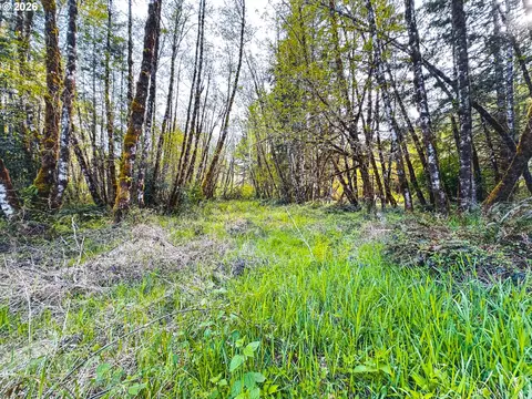 nelson mountain rd, Walton, OR 97490 photo 36