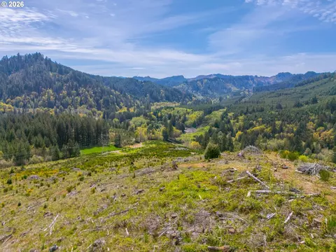 nelson mountain rd, Walton, OR 97490 photo 22