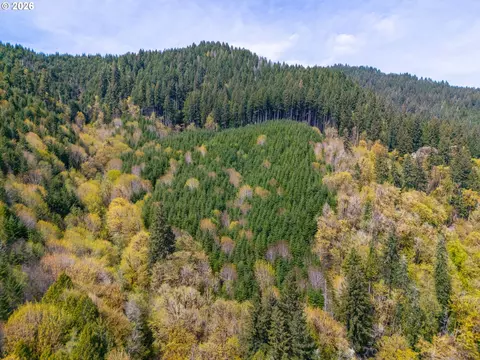 nelson mountain rd, Walton, OR 97490 photo 7