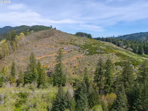 nelson mountain rd, Walton, OR 97490 photo 11