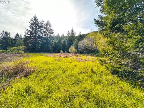 nelson mountain rd, Walton, OR 97490 photo 30