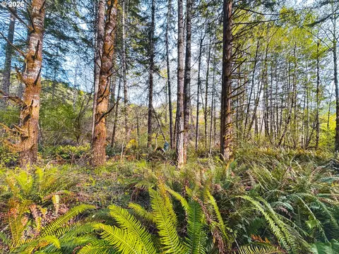 nelson mountain rd, Walton, OR 97490 photo 45