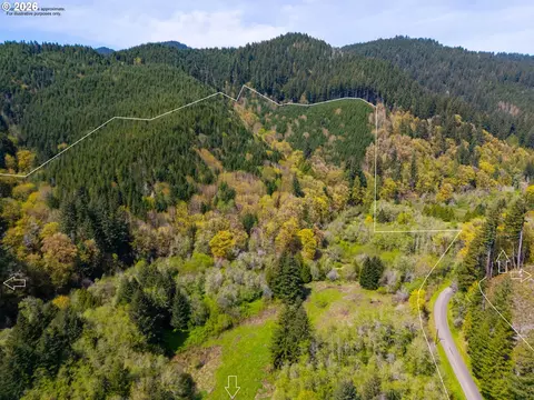 nelson mountain rd, Walton, OR 97490 photo 5