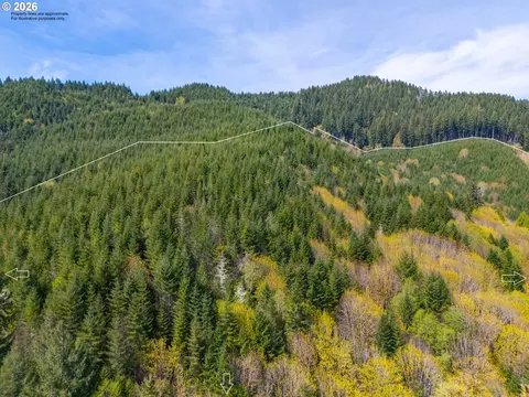 nelson mountain rd, Walton, OR 97490 photo 8
