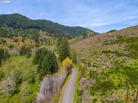 nelson mountain rd, Walton, OR 97490 photo 25