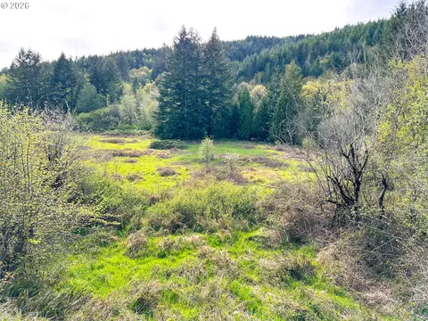 nelson mountain rd, Walton, OR 97490 photo 29