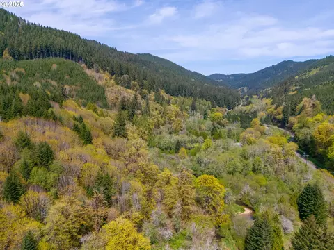 nelson mountain rd, Walton, OR 97490 photo 6