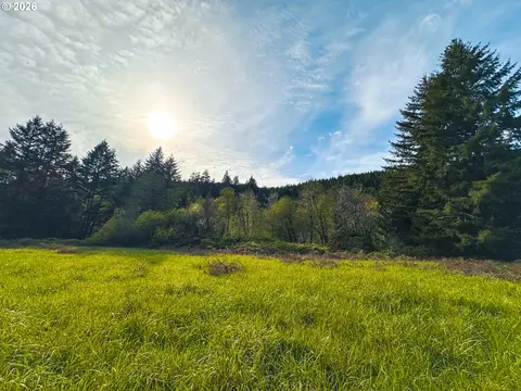nelson mountain rd, Walton, OR 97490 photo 33