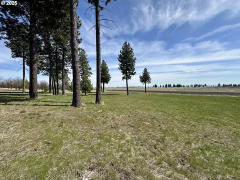 Other - 3021 Bickleton Hwy, Bickleton, WA 99322 photo 2 of 13