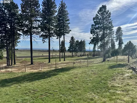 Exterior - 3021 Bickleton Hwy, Bickleton, WA 99322 photo 3 of 8