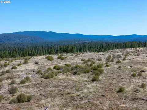 97 Chiloquin Drive, Chiloquin, OR 97624 photo 13