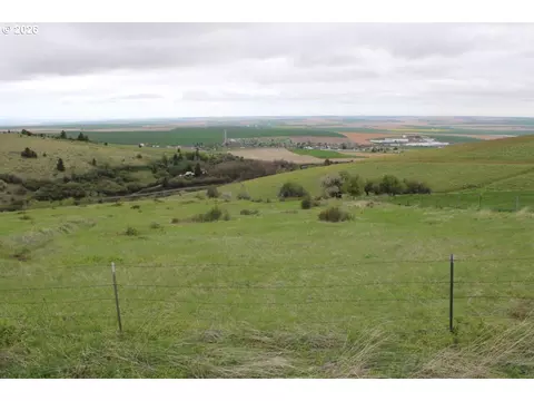52823 Kirk Rd, Weston, OR 97886