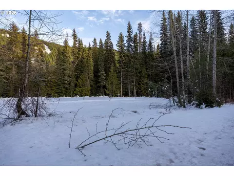 93732 E Highway 26 #101, Government Camp, OR 97028
