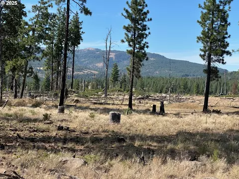 000 Lee Rd, Goldendale, WA 98620
