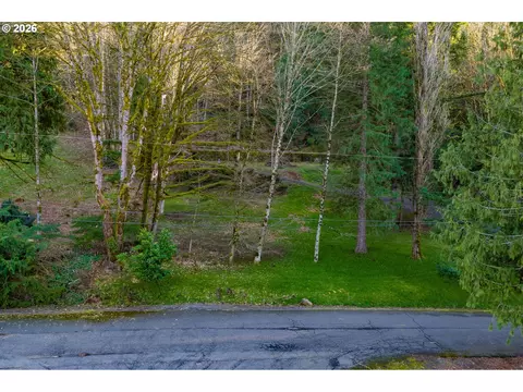 54040 E Alder Heights Rd, Sandy, OR 97055 photo 13