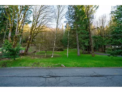 54040 E Alder Heights Rd, Sandy, OR 97055 photo 15