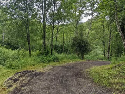 0 SE Washougal River Rd, Washougal, WA 98671