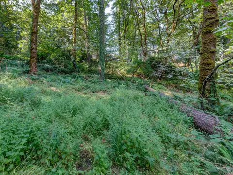 4899 Elva Ln, Eugene, OR 97405 photo 3