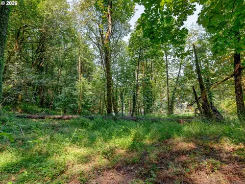 4899 Elva Ln, Eugene, OR 97405 photo 5