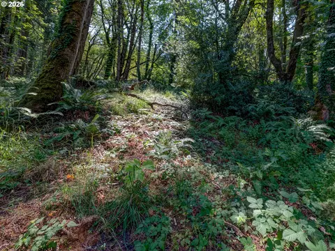 4899 Elva Ln, Eugene, OR 97405 photo 4