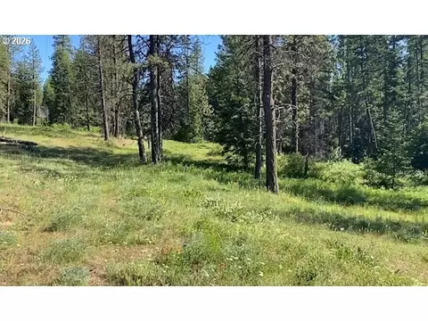Meacham, Meacham, OR 97859