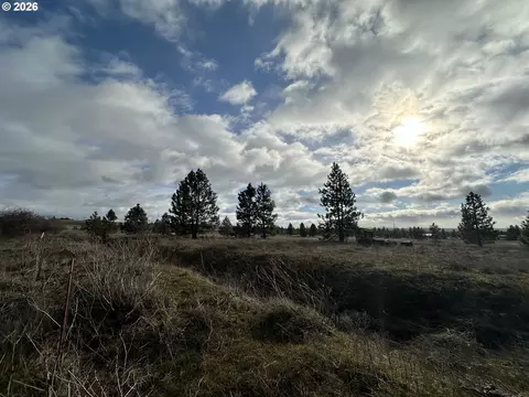 Mt. View Ranch Rd., Centerville, WA 98613