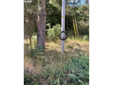 fir st, North Bend, OR 97459 photo 2