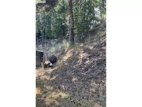 fir st, North Bend, OR 97459 photo 4