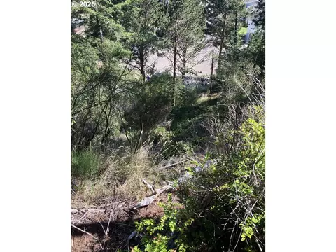 fir st, North Bend, OR 97459 photo 5