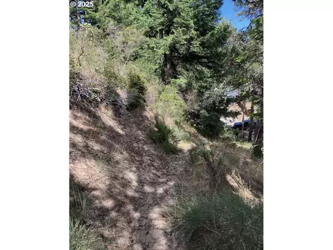fir st, North Bend, OR 97459 photo 6