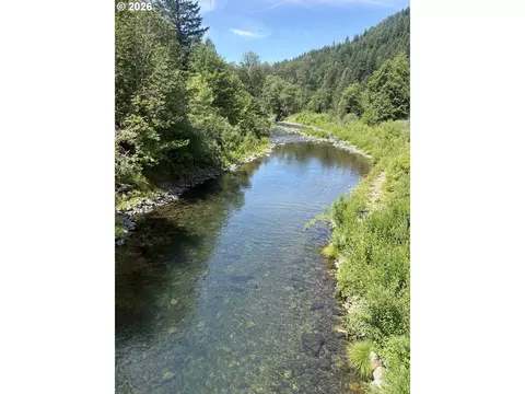 View/Area - 39688 Row River Rd, Dorena, OR 97434 photo 5 of 5