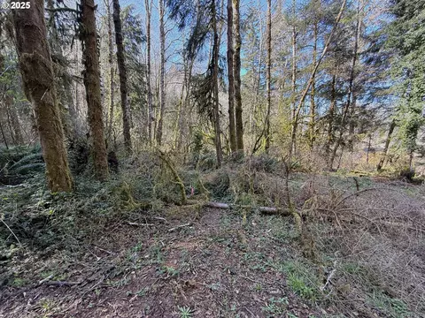 Fiddle Back Lot 7, North Bend, OR 97459 photo 10