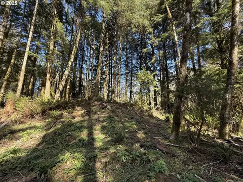 Fiddle Back Lot 7, North Bend, OR 97459 photo 4