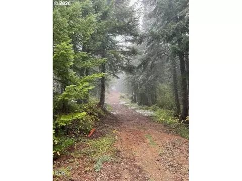 forest rod 2820, Sweet Home, OR 97386