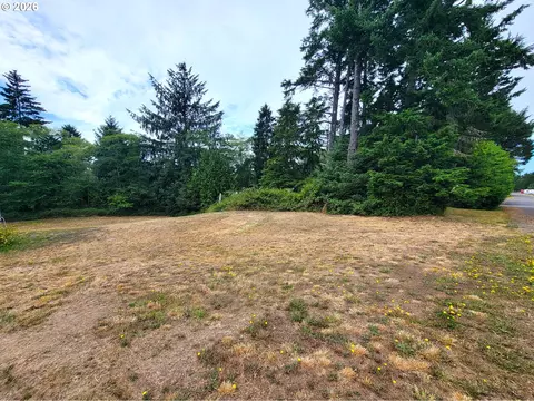 24313 Gile Pl, Ocean Park, WA 98640