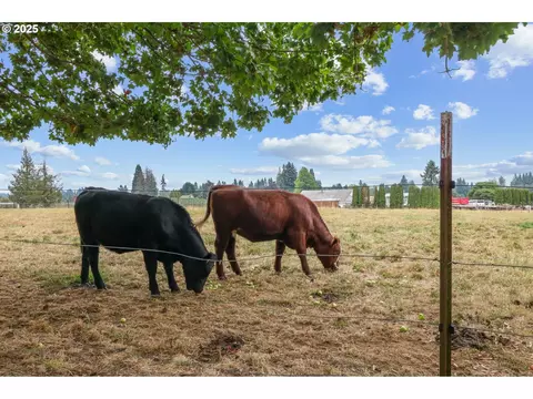 Other - 31563 SE Lusted Rd, Gresham, OR 97080 photo 9 of 12