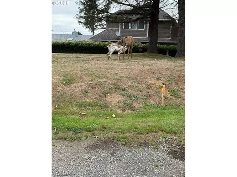 NE Johns Loop, Neotsu, OR 97364 photo 4