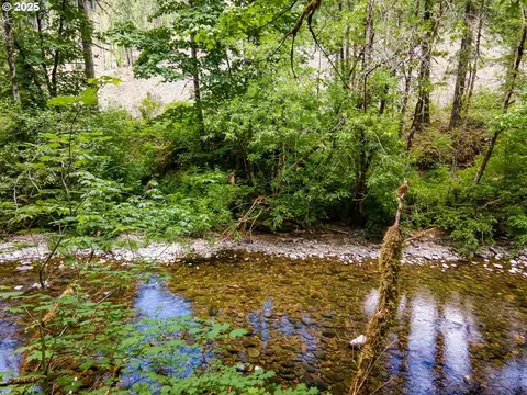 Sharps Creek Rd, Dorena, OR 97434 photo 16