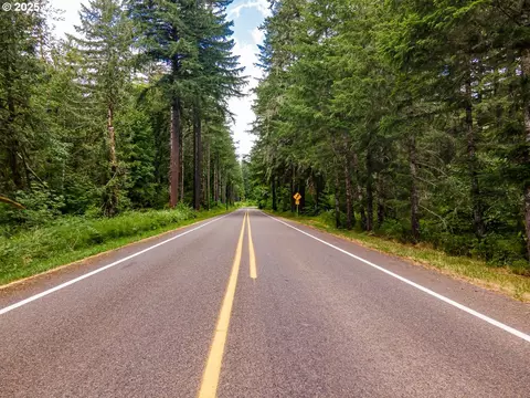 Sharps Creek Rd, Dorena, OR 97434 photo 10