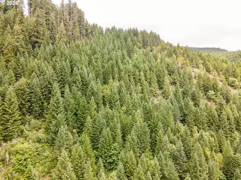 Sharps Creek Rd, Dorena, OR 97434 photo 5