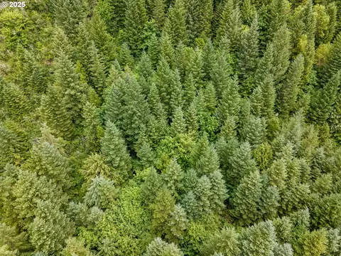 Sharps Creek Rd, Dorena, OR 97434 photo 6